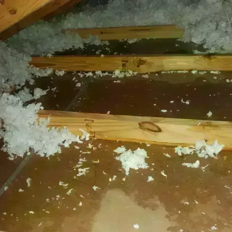 Attic Water Damage in Jay, ME