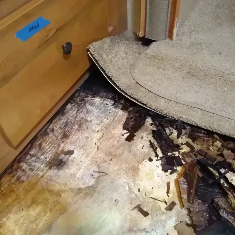 Best Wood Floor Water Damage Service in Jay, ME